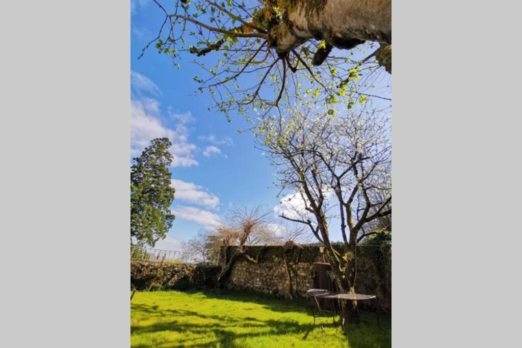 Amalouyse Studio De Charme Au Coeur Des Chateaux De Loire Montlouis-sur-Loire Buitenkant foto